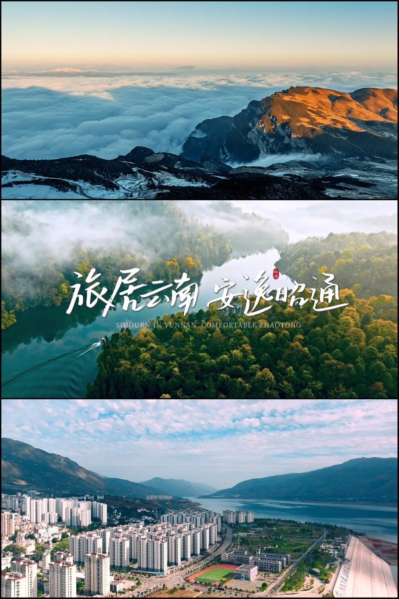 品牌策划:企业成长的加速器